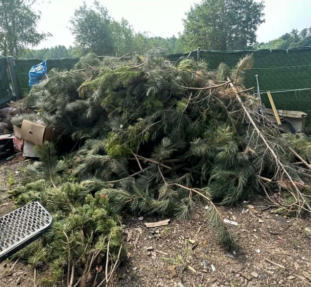 Sprzątanie odpadów bio i zielonych